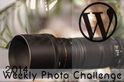 https://bopaula.wordpress.com/category/weekly-photo-challenge/