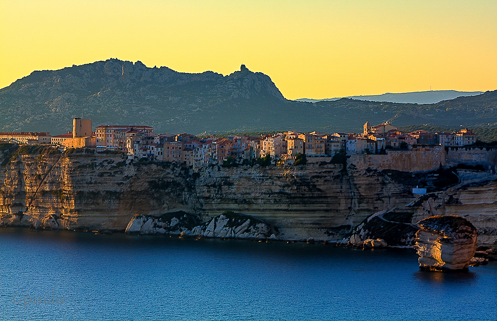 bonifacio_zoomed in-2