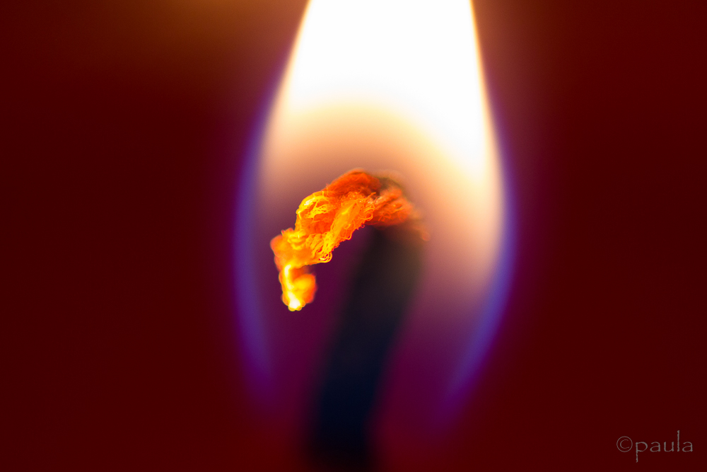 flame close_nv