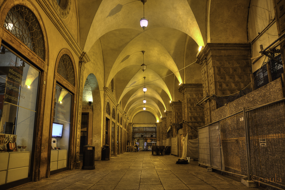 vaults in bologna