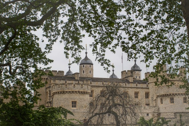 tower of london_trees_dif-fog