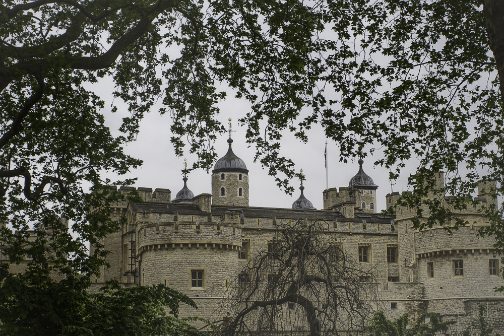 tower of london_trees_dif-fog