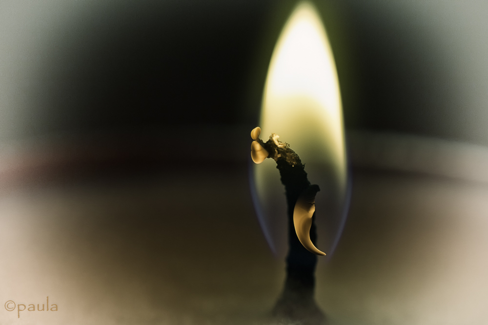 cudni fitilj_bleached