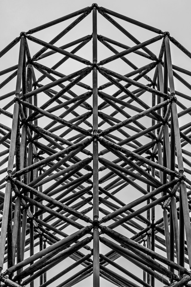 lines_portrait__novi