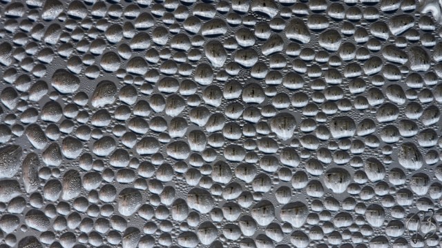 Jana_Bubbles_DxO_potpis