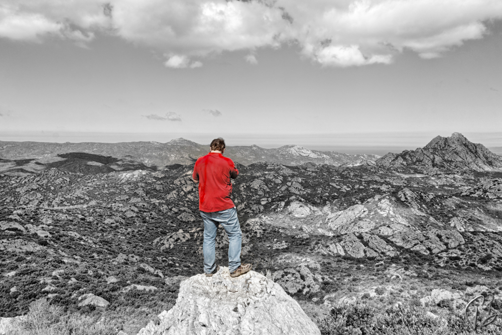 THURSDAY’S SPECIAL: PICK A WORD – MAY&nbsp;2023