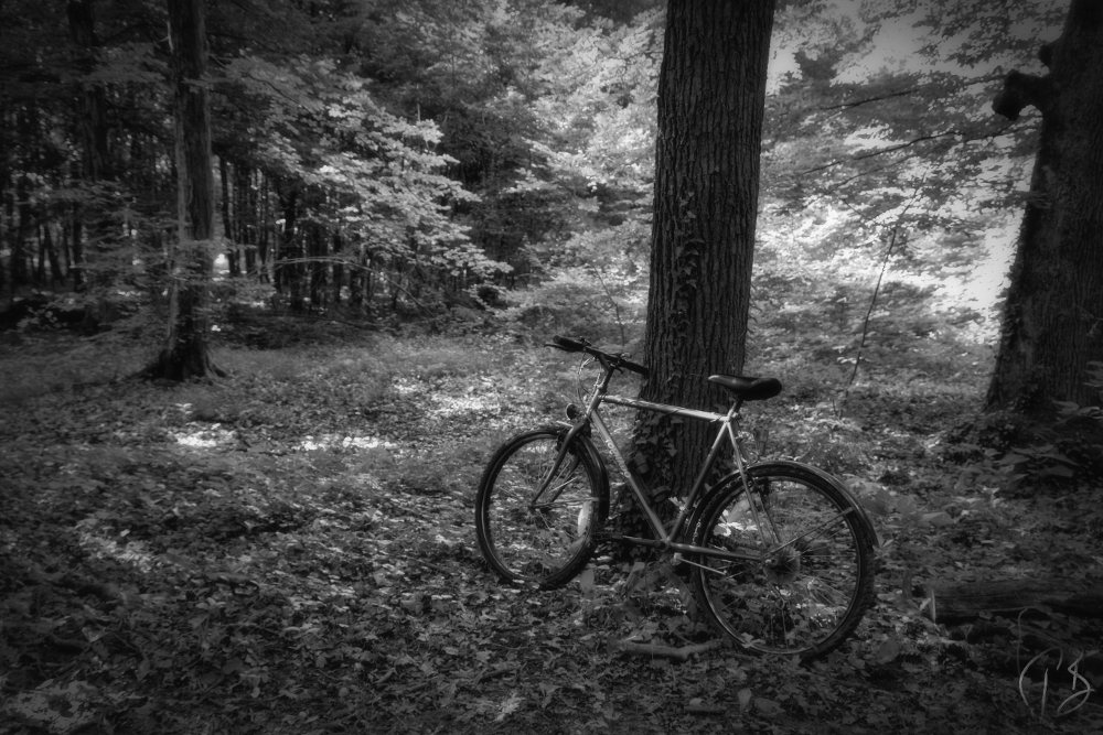 bicikl_crnobijeli-1_potpis