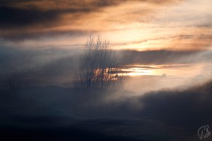 march sun_double ex_viv_cef-1_scale