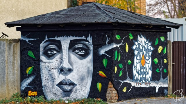 urban art_faca_sova-1_potpis