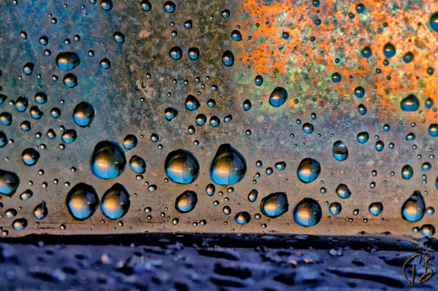 scattered-1_potpis_scaled