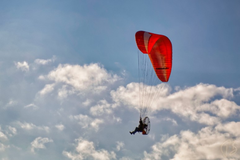 paraglider-1_pursuit_scale_potpis