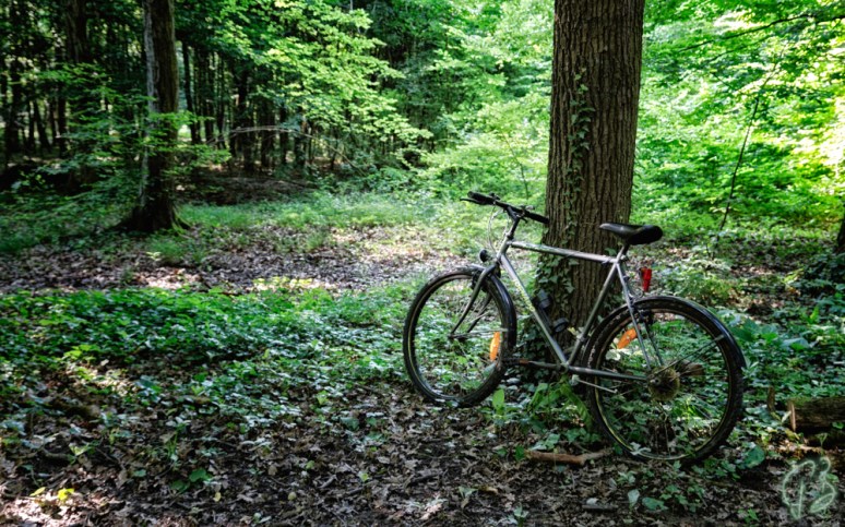 bicikl u boji_crop-1_potpis