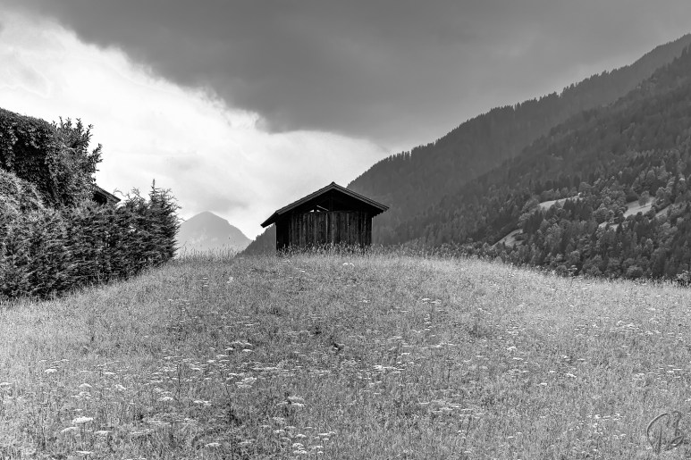 Fiera di Primiero ©Paula Borkovic fiera di primiero_monochrome-1_potpis