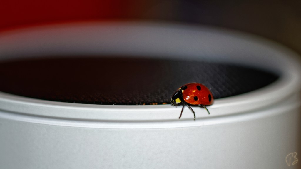 THURSDAY’S SPECIAL: PICK A WORD – MAY&nbsp;2024