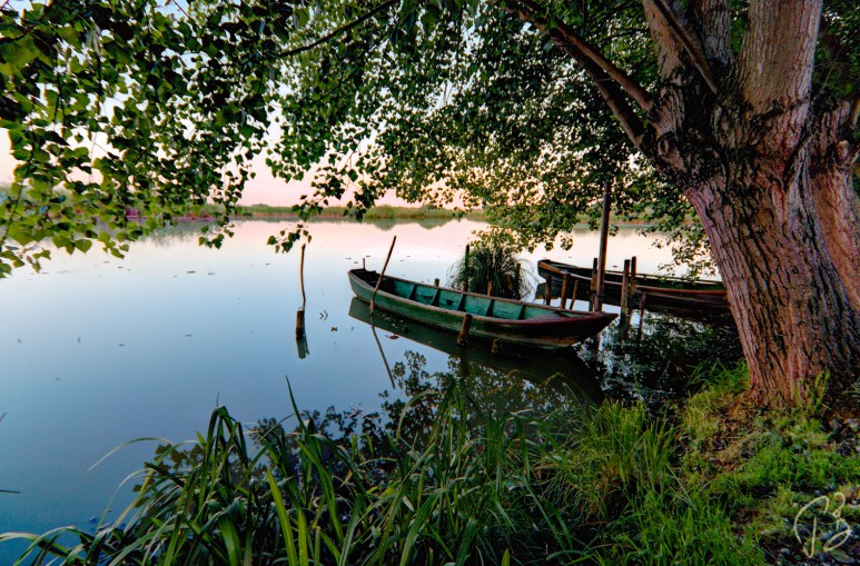 barke_grazie-1_potpis_scale