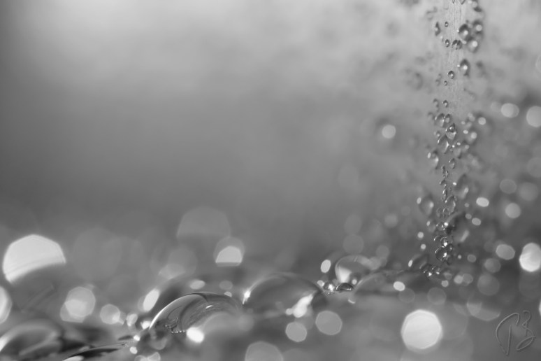 condensation_bw_drukcija-1_potpis_resize
