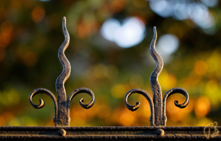 fenced-1-potpis_scale_veci