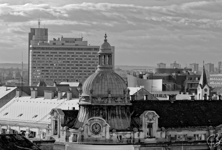 stross-pogled-bw-1_potpis_scale