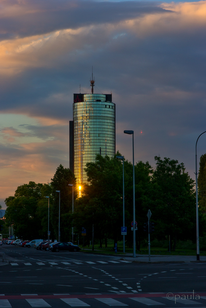cibona