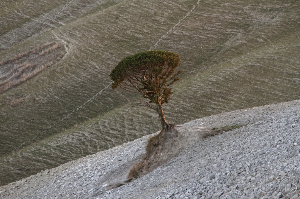 WOW – WORDS OF WISDOM – Y25&nbsp;#1