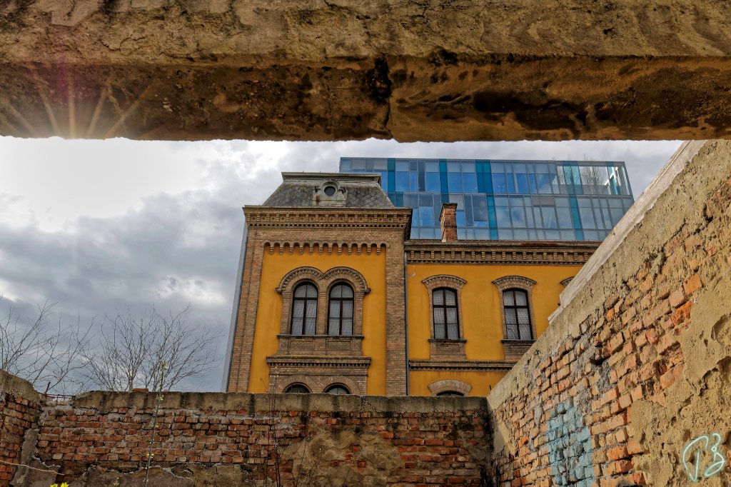 THURSDAY’S SPECIAL: JUXTAPOSITION