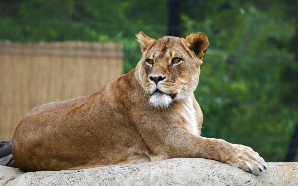 THURSDAY’S SPECIAL: FEMALE