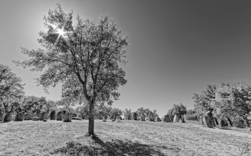 BLACK & WHITE SUNDAY: TRACES OF THE PAST&nbsp;Y3-06