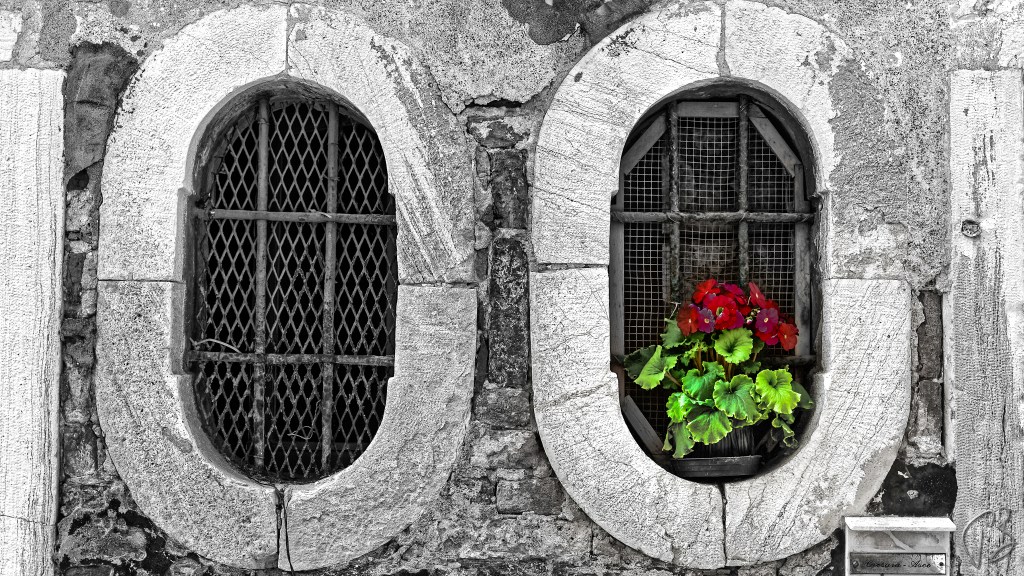 BLACK & WHITE SUNDAY:&nbsp;WINDOWS