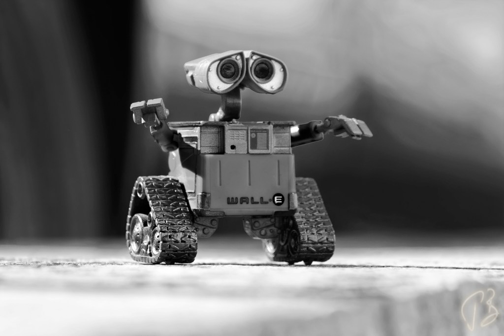 BLACK & WHITE SUNDAY:&nbsp;PLAYTIME