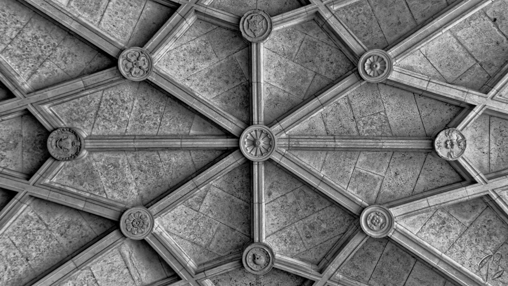 BLACK & WHITE SUNDAY:&nbsp;CEILING