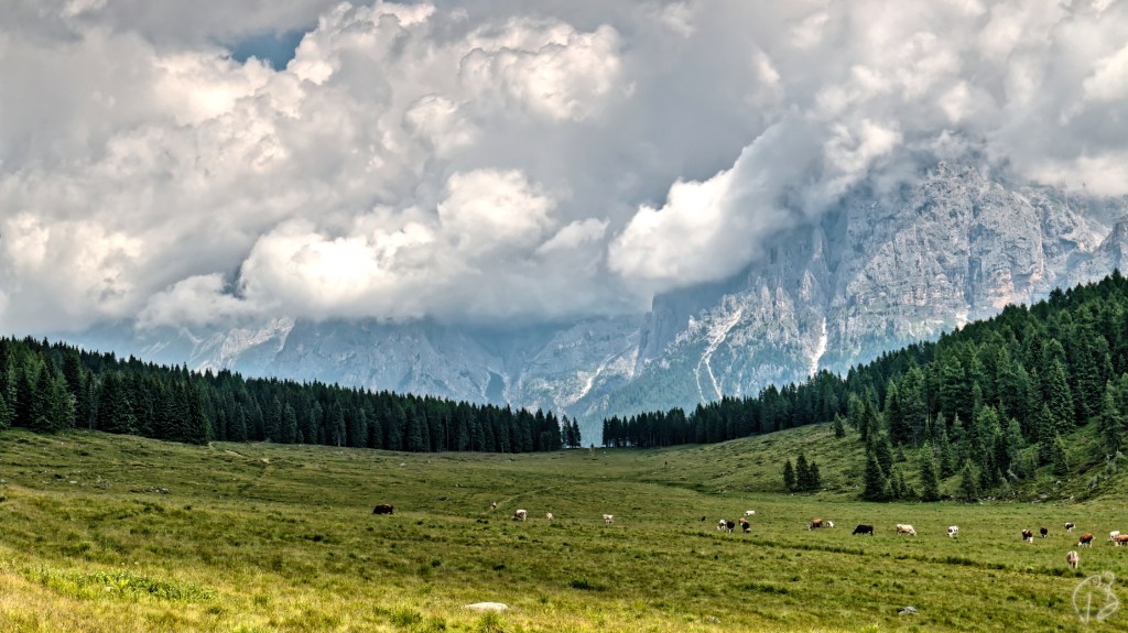 THURSDAY’S SPECIAL: PICK A WORD IN OCTOBER –&nbsp;Y2