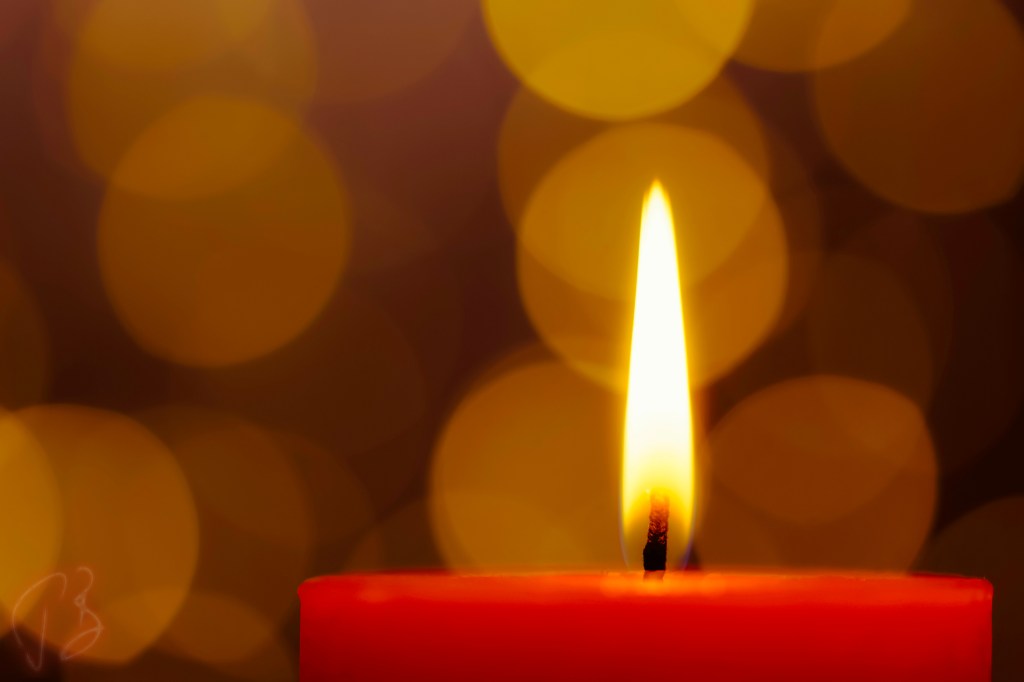 WOW – WORDS OF WISDOM – Y24&nbsp;#12