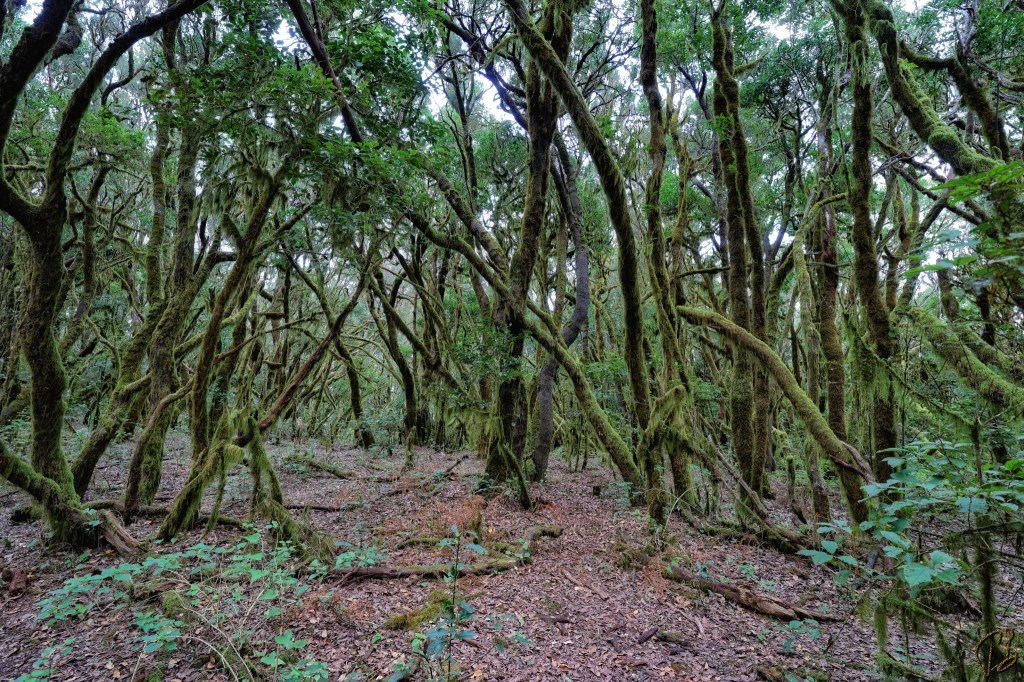 WOW – WORDS OF WISDOM – Y24&nbsp;#6