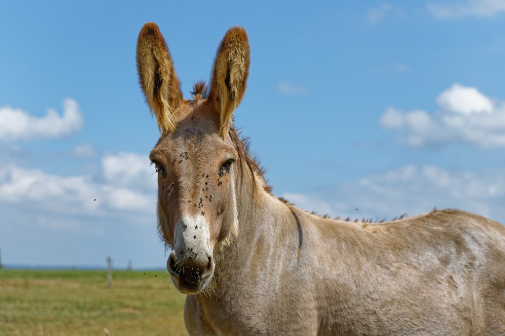 THURSDAY’S SPECIAL: PICK A WORD IN APRIL –&nbsp;Y4