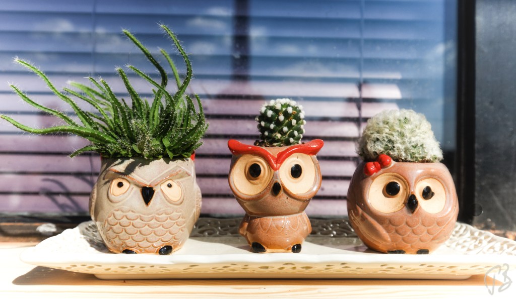 THURSDAY’S SPECIAL: PICK A WORD – SEPTEMBER&nbsp;2021