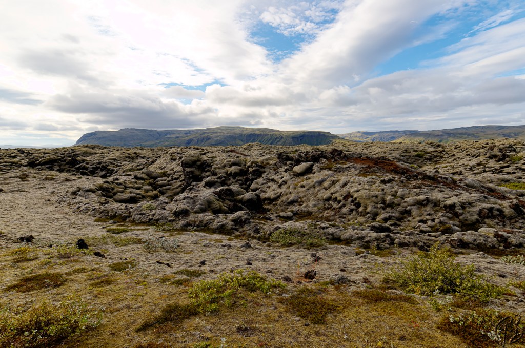 THURSDAY’S SPECIAL: PICK A WORD – SEPTEMBER&nbsp;2022