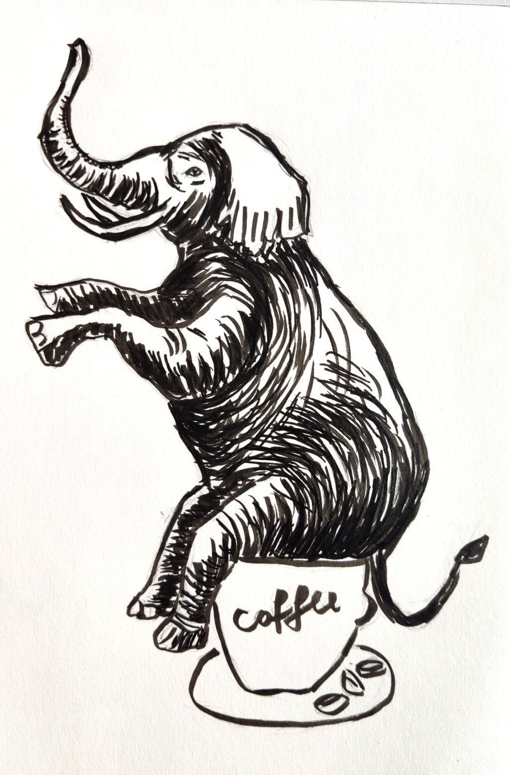 WOW – WORDS OF WISDOM – Y23&nbsp;#7