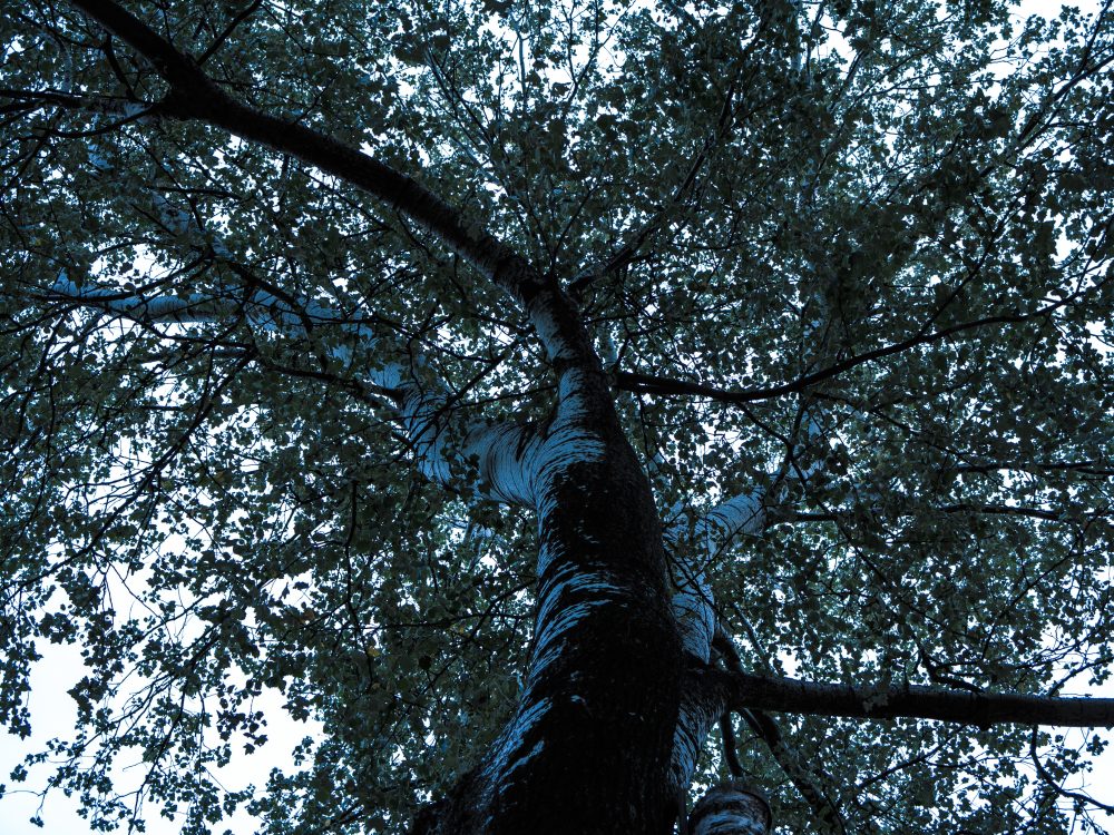 WOW – WORDS OF WISDOM – Y23&nbsp;#8