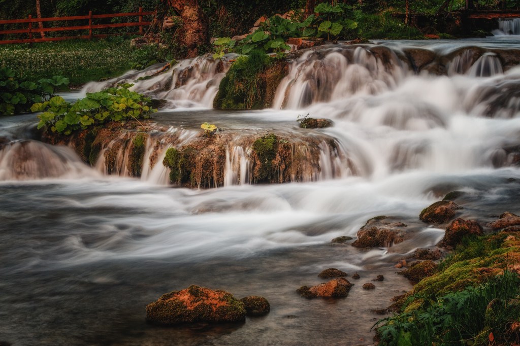 WOW – WORDS OF WISDOM – Y24&nbsp;#3