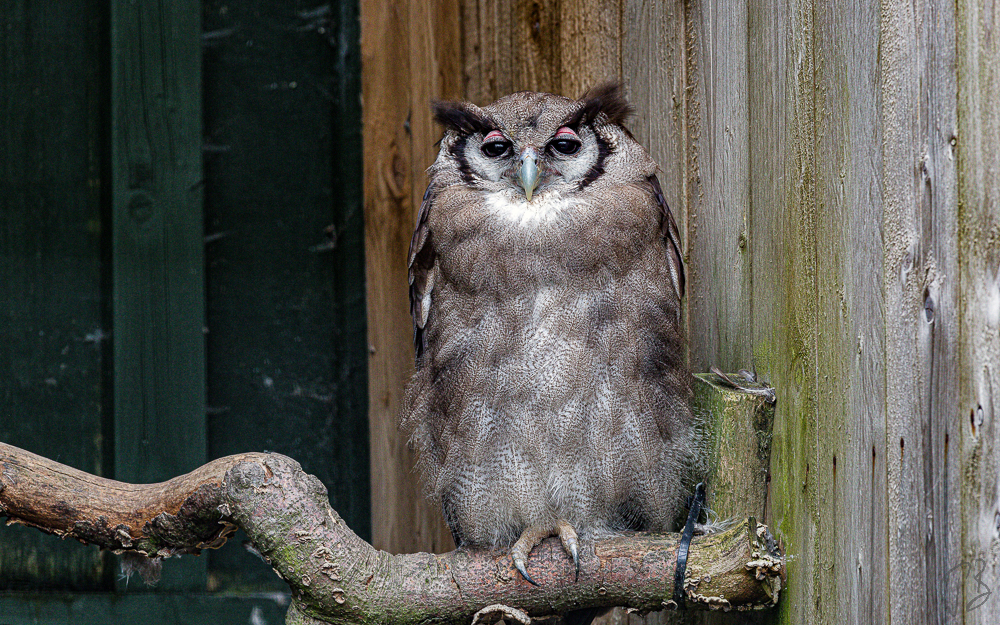 THURSDAY’S SPECIAL: PICK A WORD – SEPTEMBER&nbsp;2024